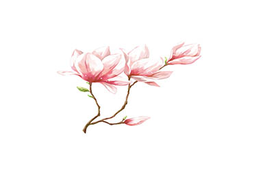 化妝品VI設(shè)計(jì)小妙招